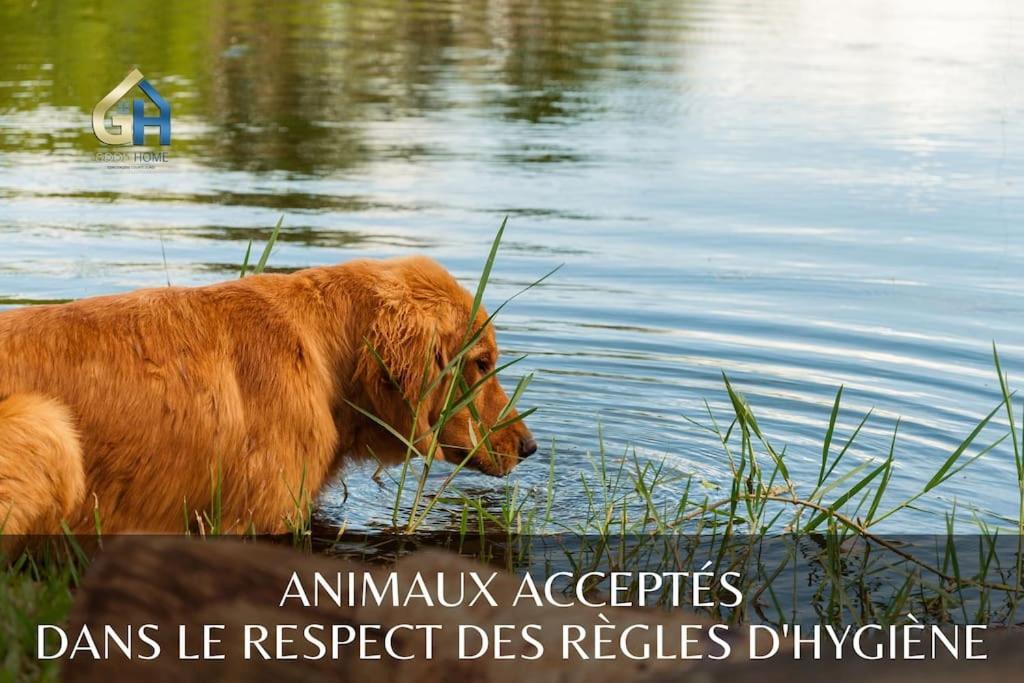 *L'Ecrin De L'Etang* Depaysement Assure Villa Bourbourg Bagian luar foto